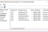 Stunning Domain Controller Certificate Template