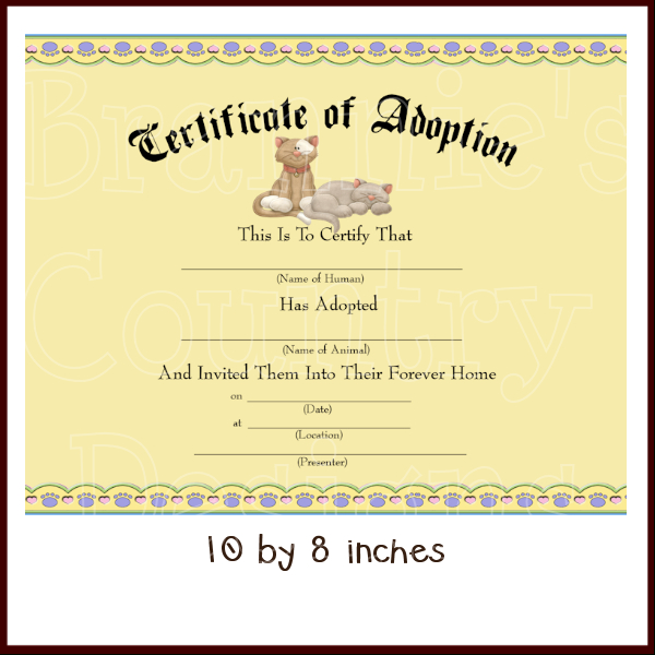 awesome-kitten-birth-certificate-template-sparklingstemware