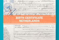 Top Birth Certificate Translation Template
