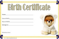 Top Stuffed Animal Adoption Certificate Editable Templates