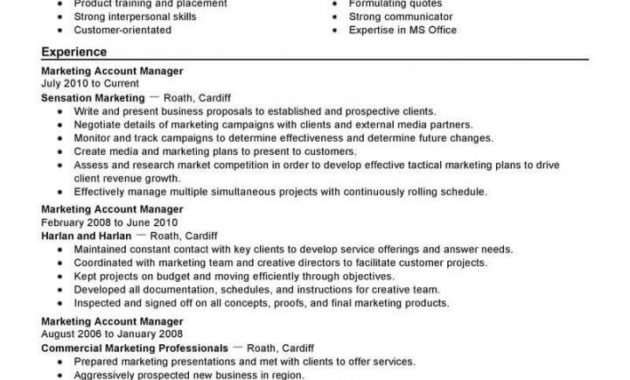 Awesome Management Position Resume Template