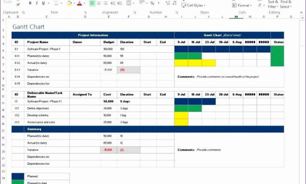 Free Capacity Management Plan Template