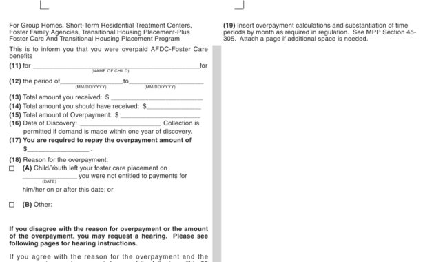 Free Transitional Care Management Documentation Template