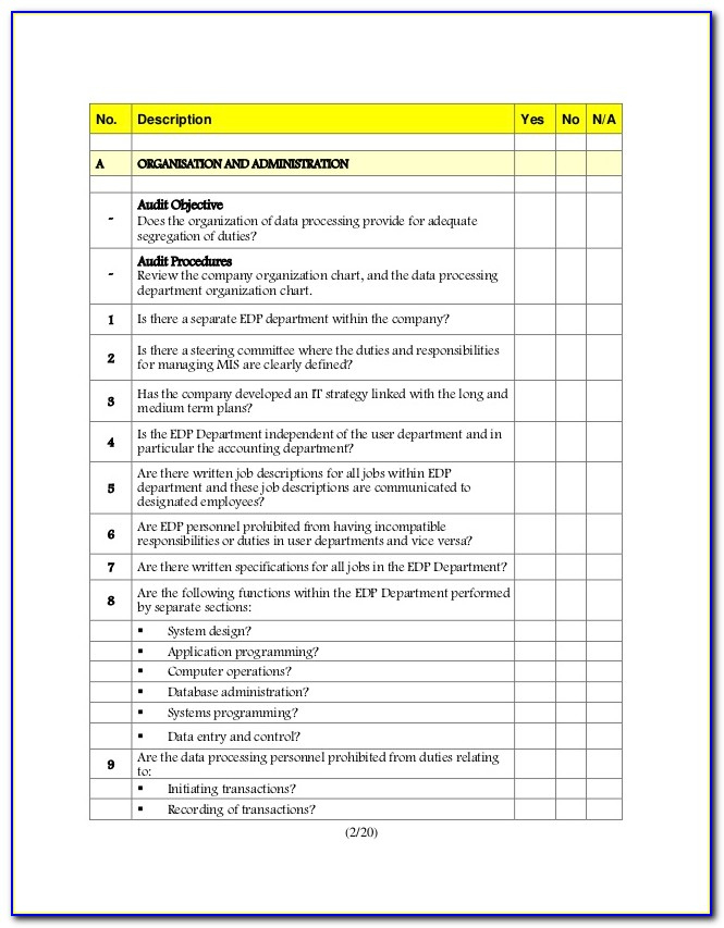 Professional Auditing Policy Template