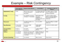 Professional Enterprise Risk Management Framework Template