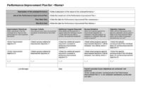 Professional Individual Performance Management Template