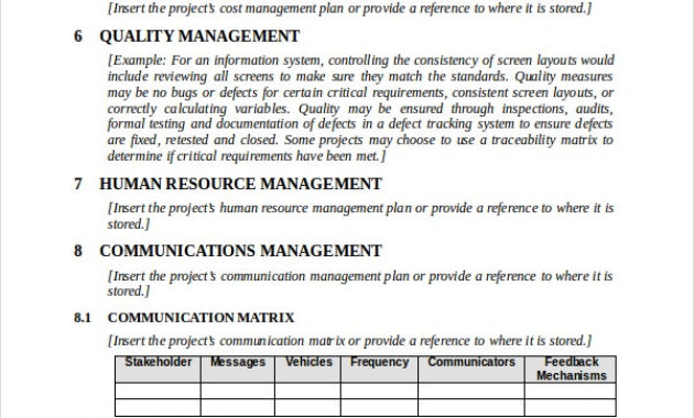 Professional Project Management Memo Template