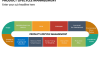 Simple Life Cycle Management Plan Template
