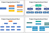 Simple Management Organizational Chart Template