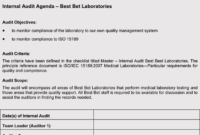 Top Internal Audit Policy Template