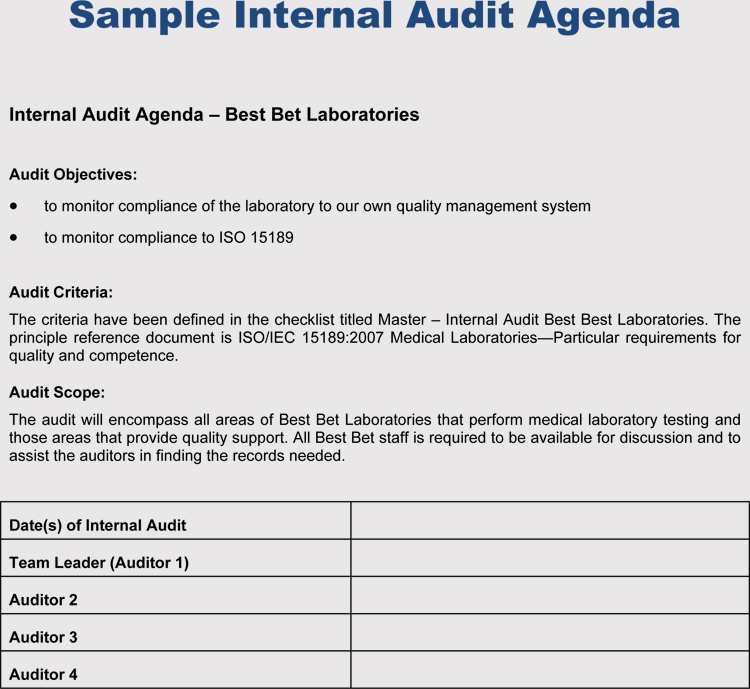 Top Internal Audit Policy Template