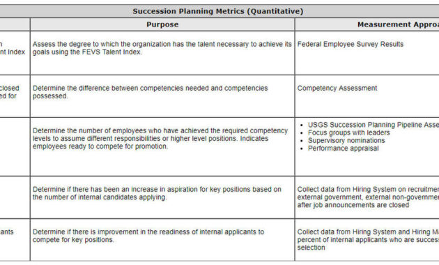 Top Management Succession Plan Template